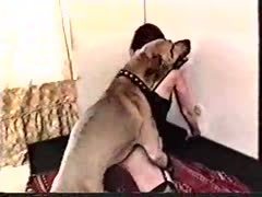 Skinny long-legged non-professional cougar in underware getting fucked by the family dog